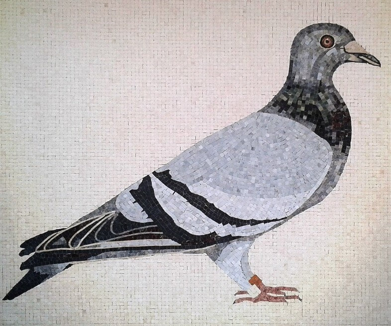 Mosaic Pigeon - Unique Mosaic Home Interior